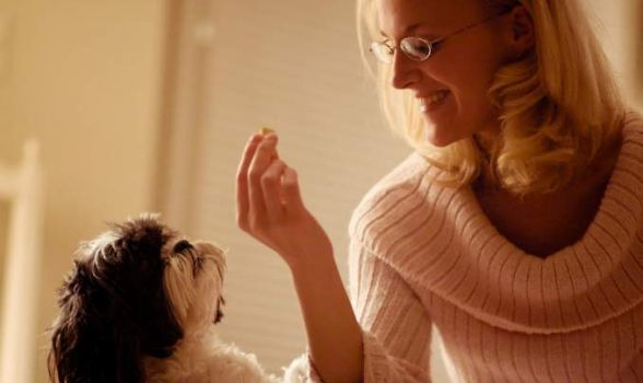 Com qual frequência se deve vermifugar o cão?